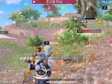 和平挂 锁头 透视 锁血软件 - 自瞄透视四合一神器